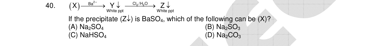 Chemistry diagram for: (X) --Ba²⁺--> Y↓ (White ppt) --Cl₂/H₂O--> Z↓ (White ppt). If the precipitate (Z↓) is BaSO₄, which of the following can b